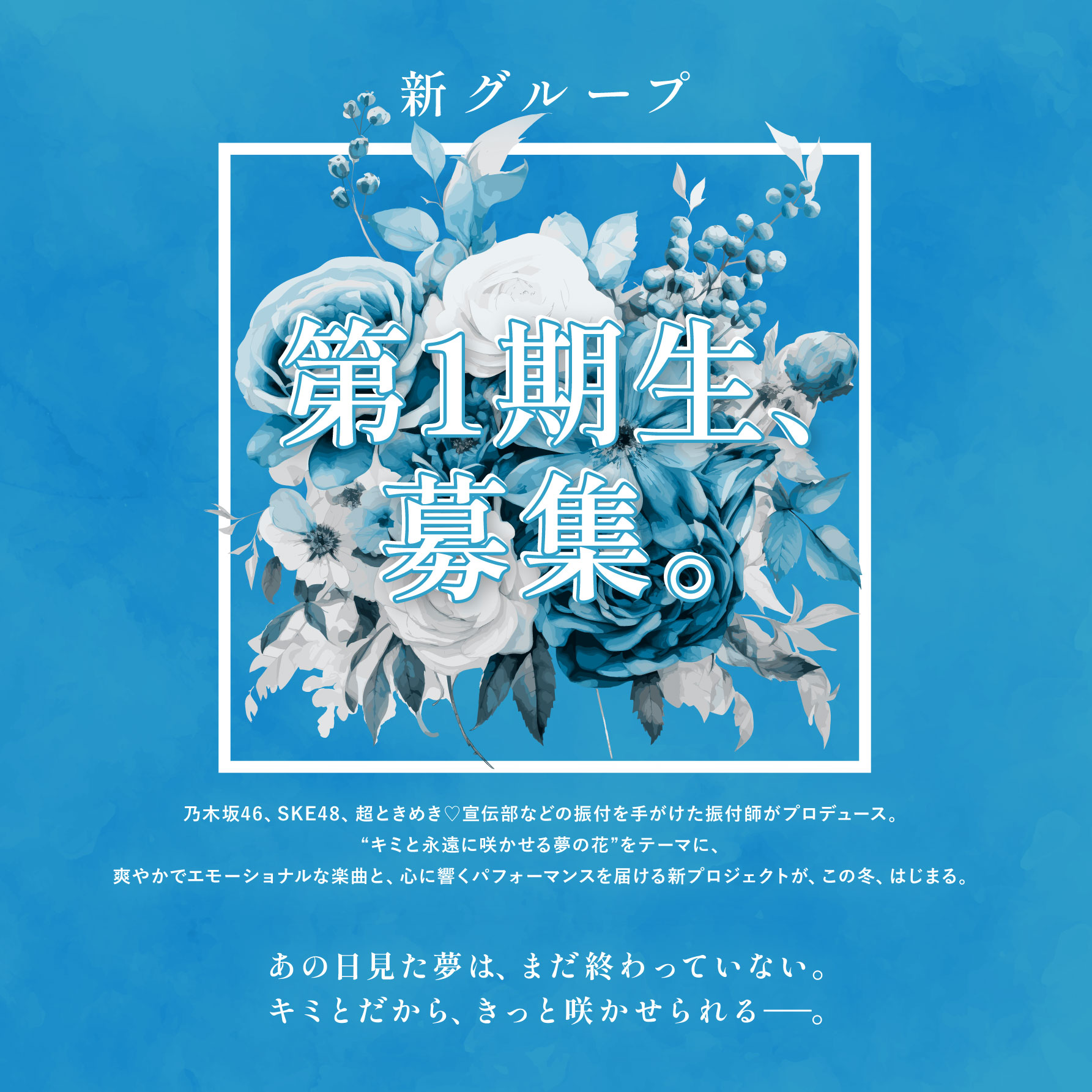 プリュ新グループ 1期生募集